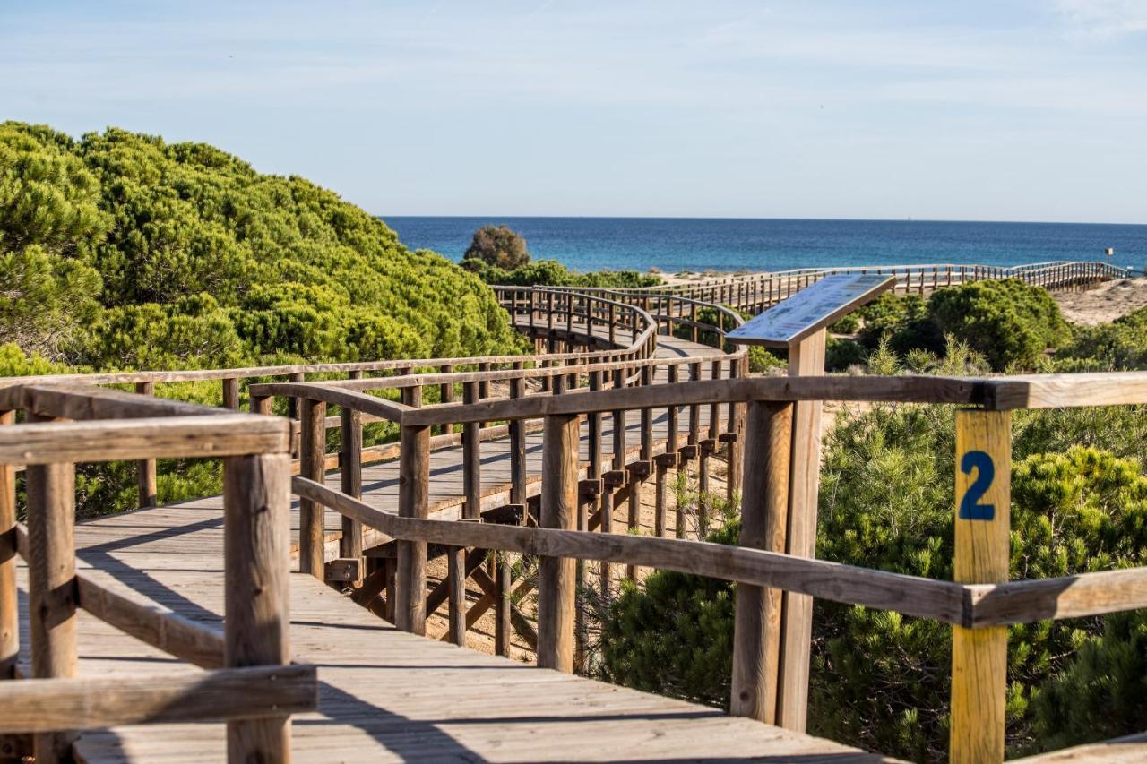 Апартаменты Vistas Al Mar Ареналес-дель-Соль Экстерьер фото